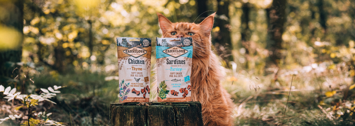 Sardines enriched with Parsley Soft Cat Treats