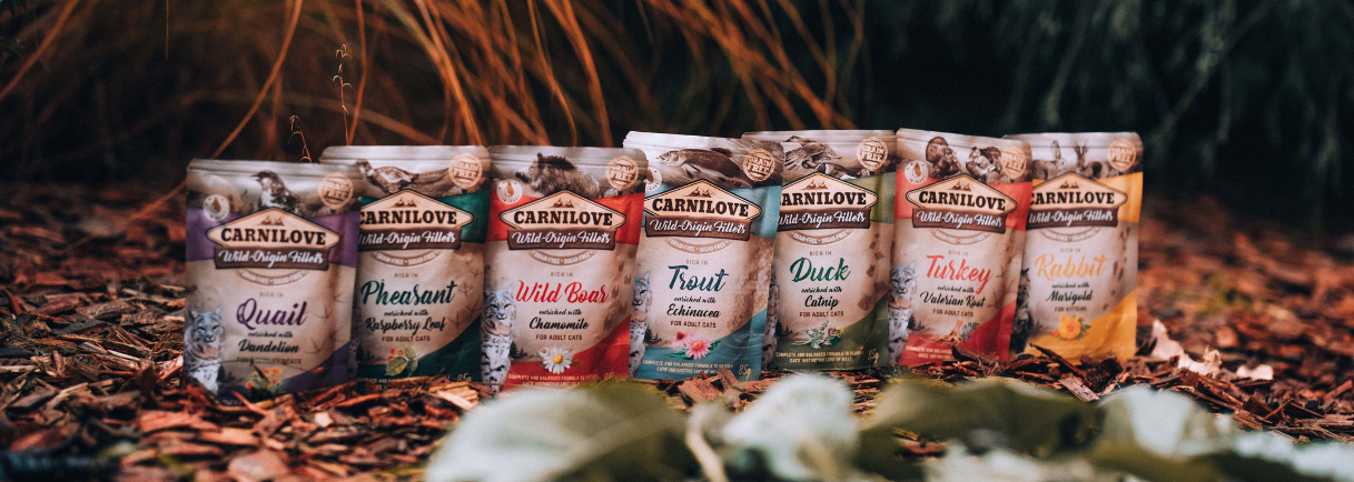 Wet Cat Food Pouch Multipack