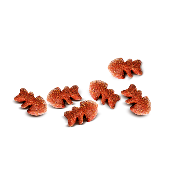 Mackerel with Raspberries Crunchy Dog Treats