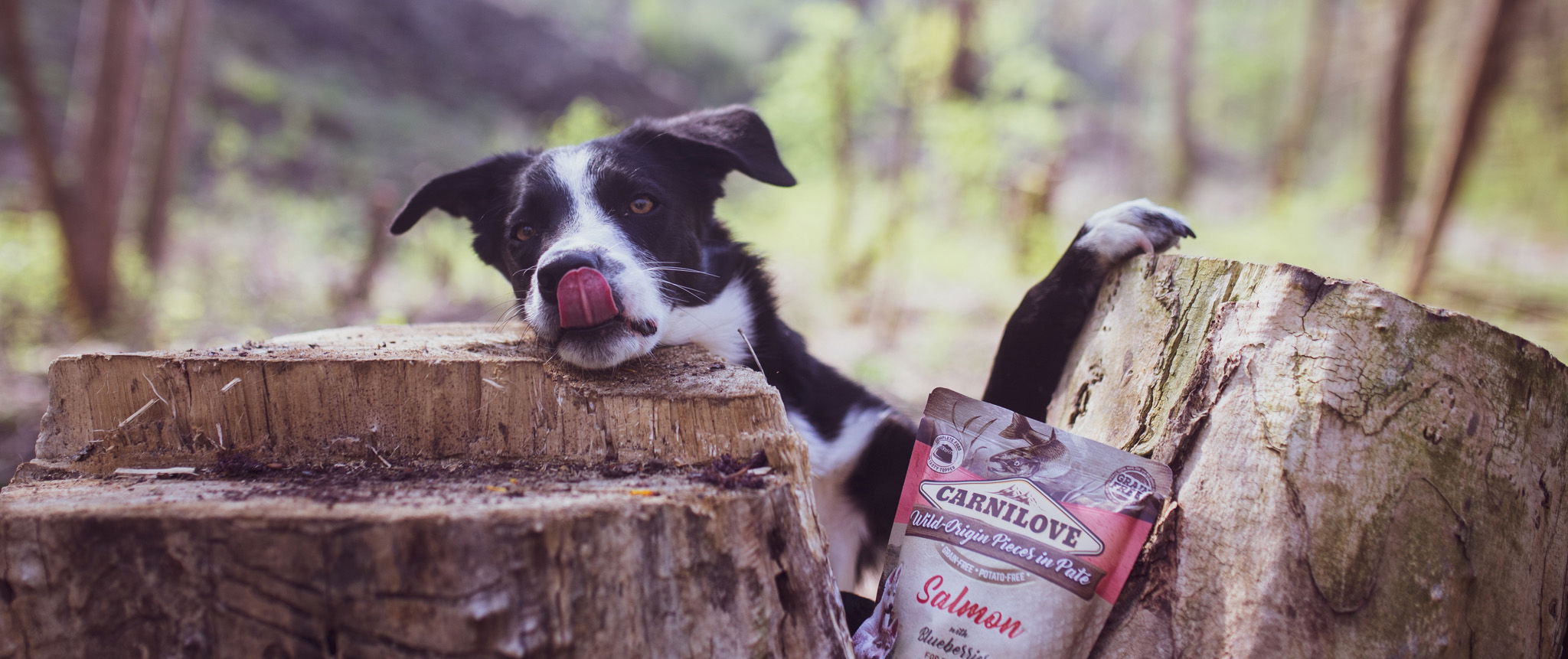 Return to the Wild: Carnilove Wet Dog Food Pouches