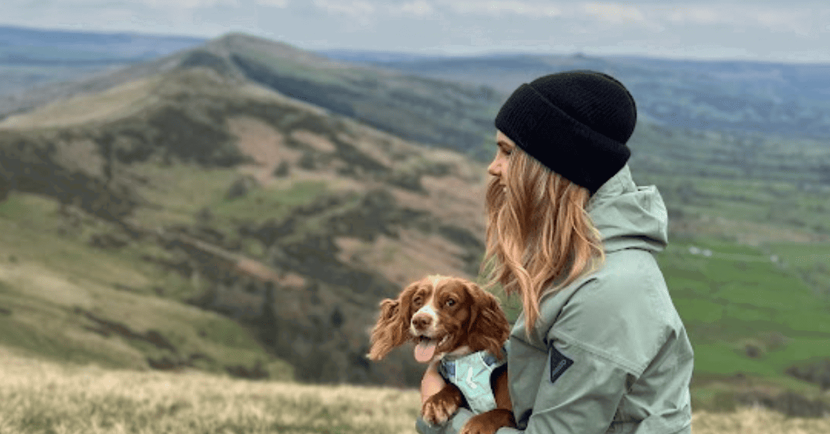 Why Hiking with Dogs is a Great Idea