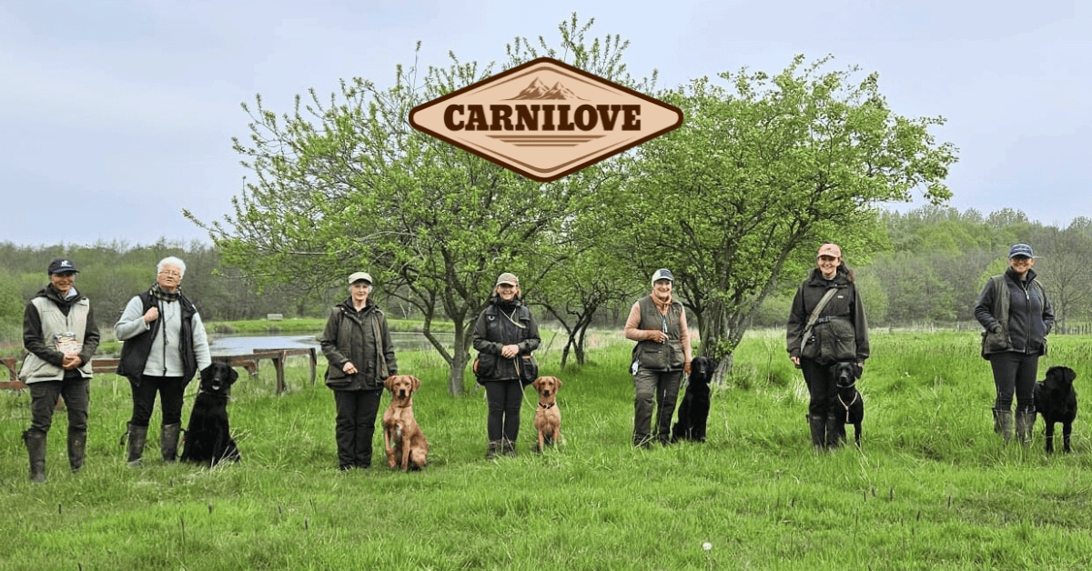 Gundog training: Reward & Train Your Dog with Carnilove