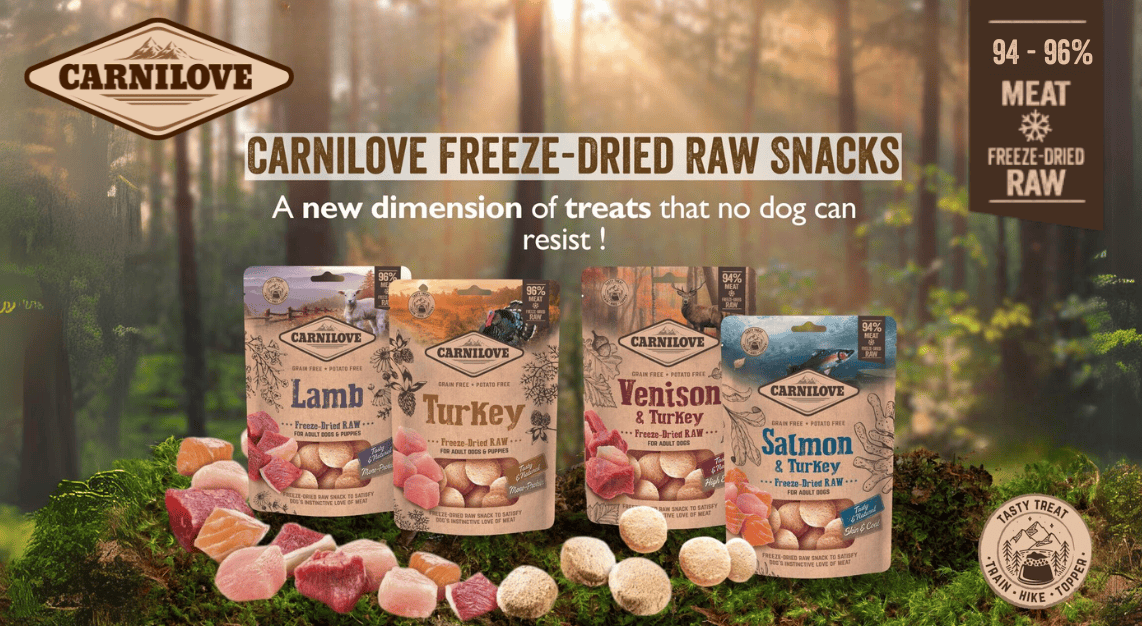 Freeze-Dried Raw Dog Treats: Delicious & Nutritious Rewards