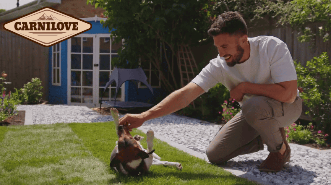 Bring the Wild Home with Carnilove and Henry Agg’s Guide to Creating A Pet Adventure Garden