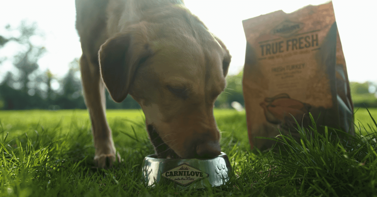 The Ultimate Guide to Carnilove Dog Food Nutrition for Your Pet