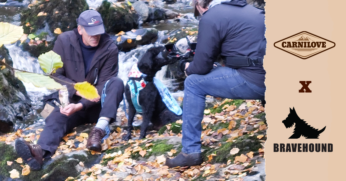 Supporting BRAVEHOUND to Provide Food to Incredible Dogs