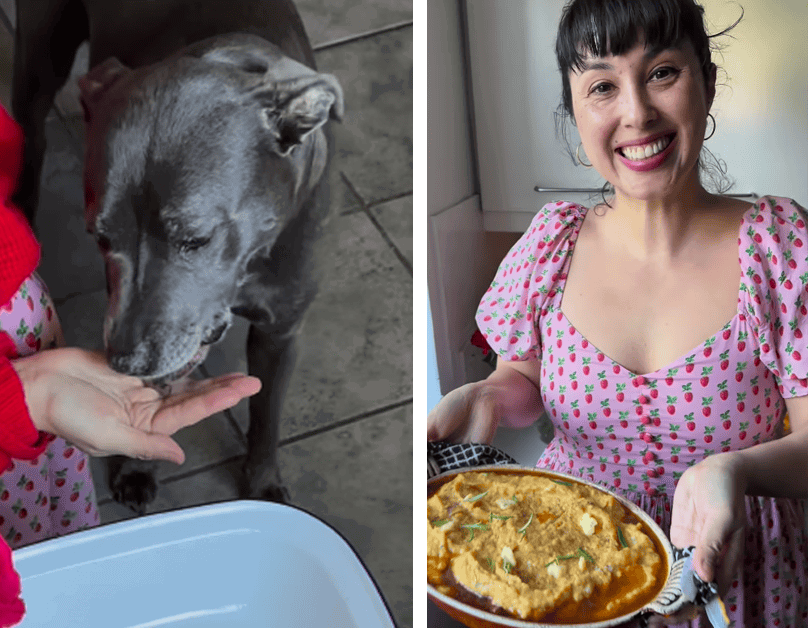 Duck & Pheasant Pie with Carnilove