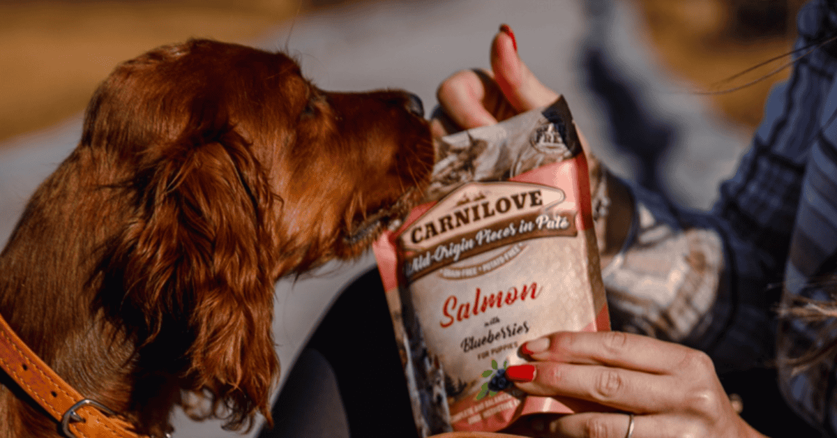 grain free dog food