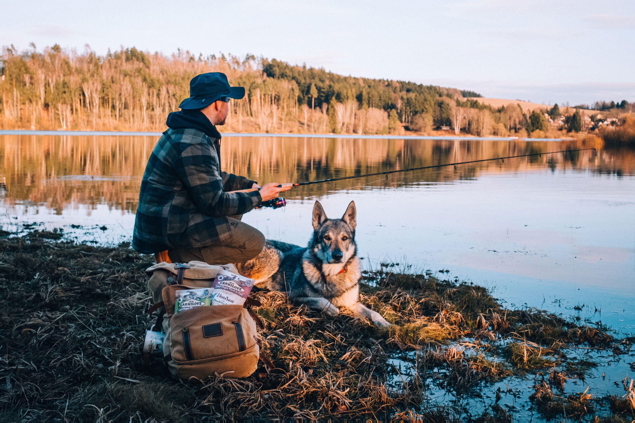 Why Choose Carnilove?