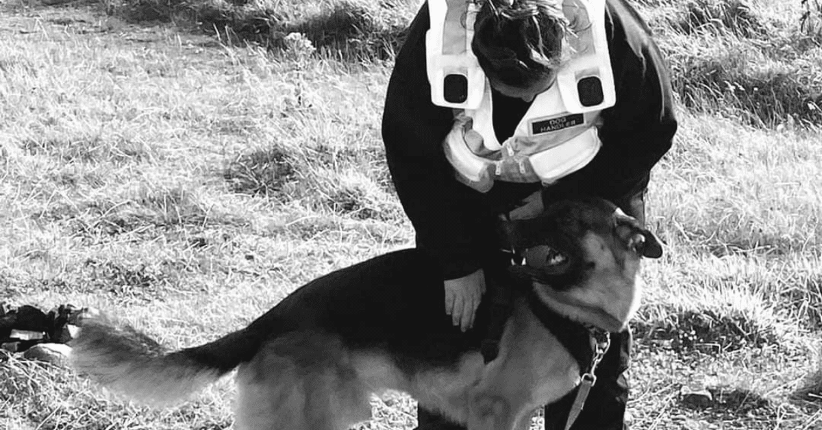 Supporting K9 Search Services with Carnilove