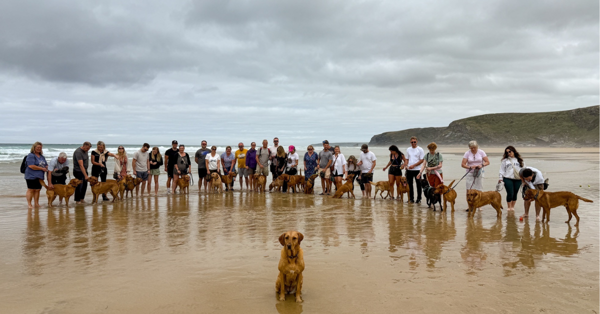 Breed Meet-Up Ideas & Tips: Dog Events Guide