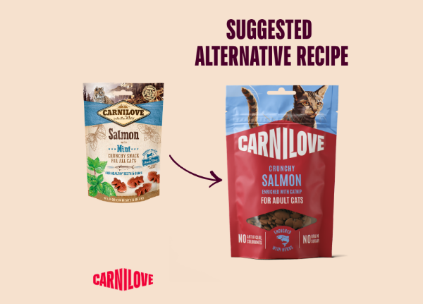 NEW Salmon with Catnip Crunchy Cat Treats